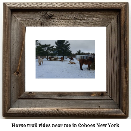 horse trail rides near me in Cohoes, New York